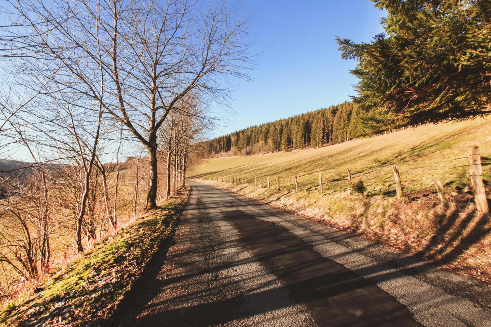 Apartmán Fewo Clemensberg Niedersfeld Winterberg Exteriér fotografie