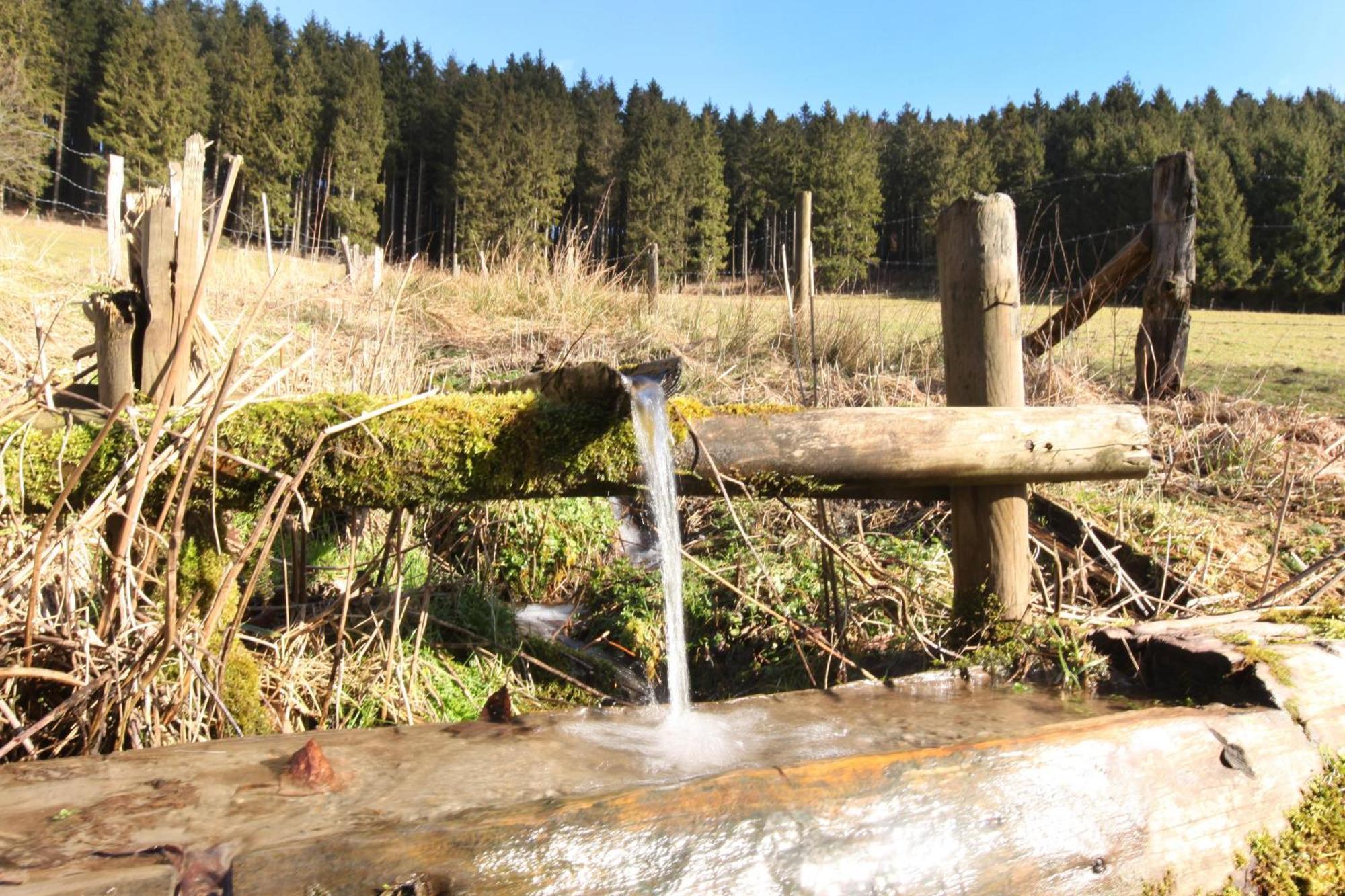 Apartmán Fewo Clemensberg Niedersfeld Winterberg Exteriér fotografie